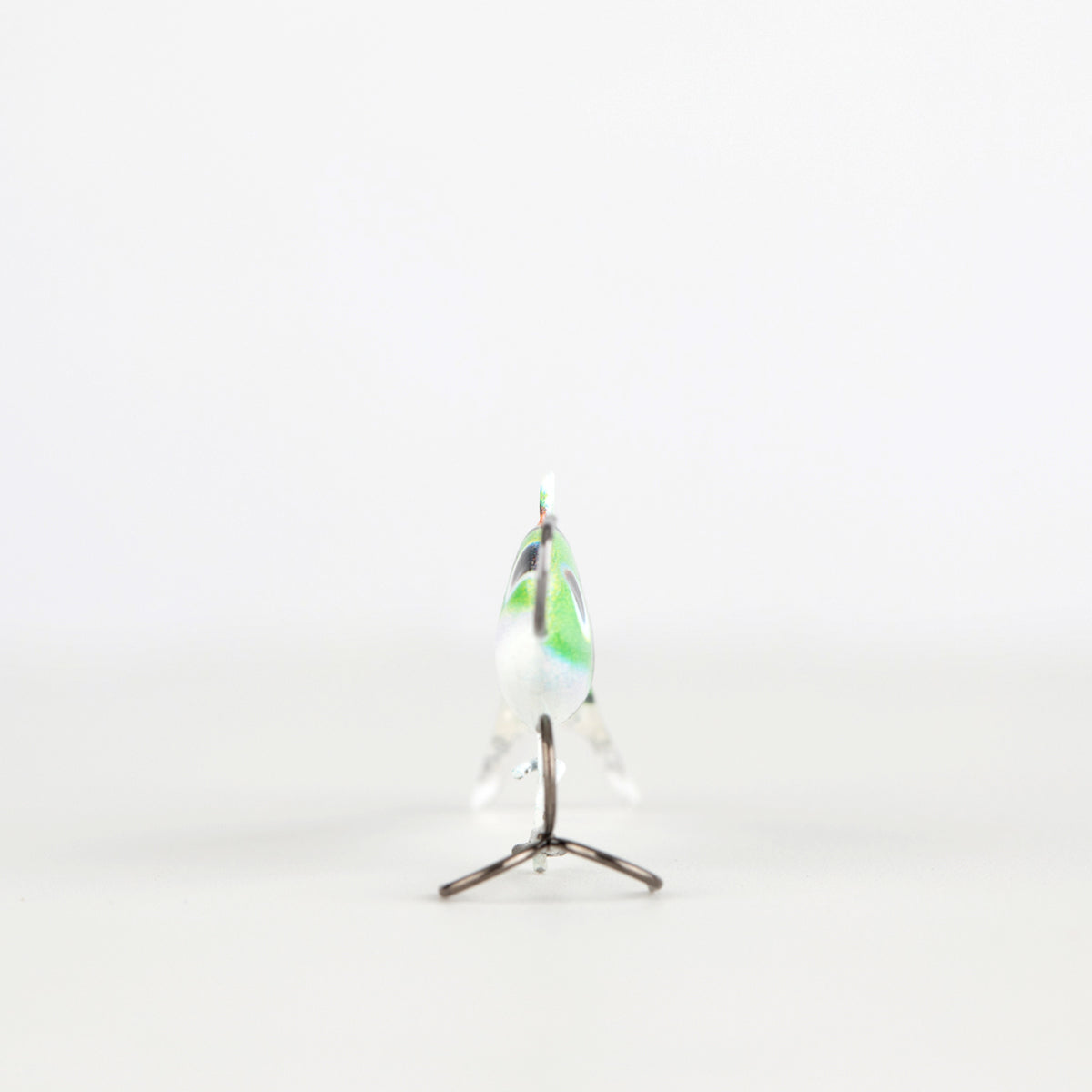 Tree Toad GLOW - Eye Catcher