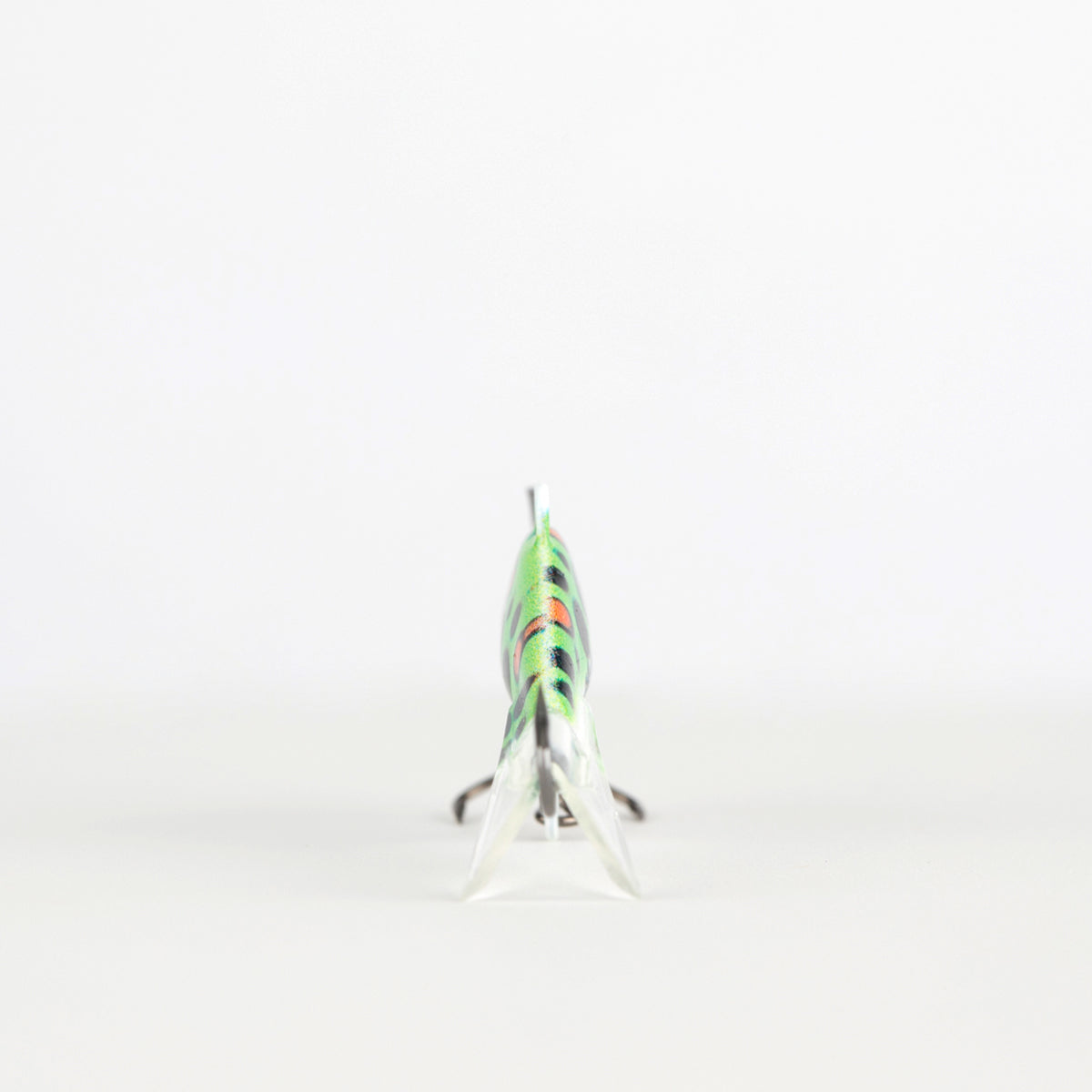 Tree Toad GLOW - Eye Catcher