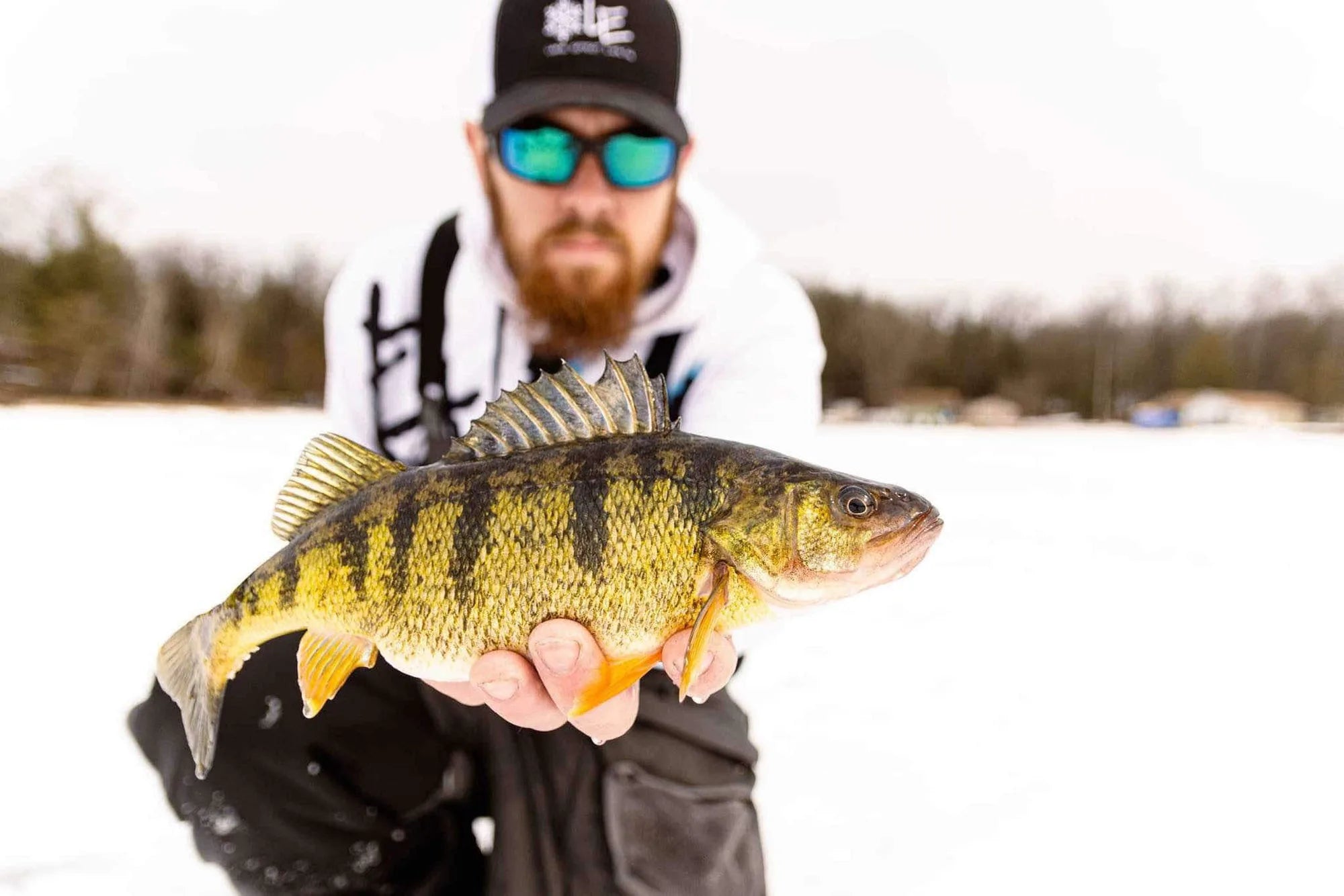 Hero — ice perch catch, Lake Effect hat