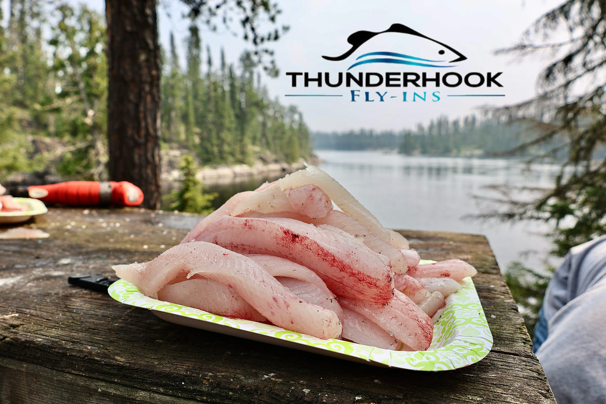 Shore Lunch - Fresh blueberries picked along the shore, fresh caught walleye, and good times - watching Eagles soar a...