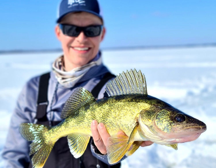 Angler holding a walleye on the ice
