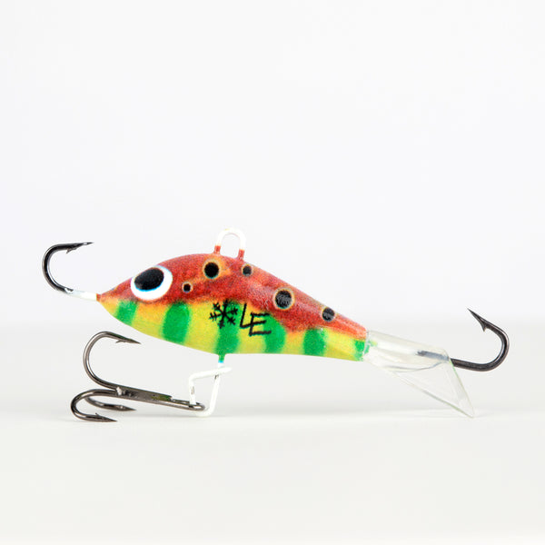 fish eyeing a lure Red Leopard