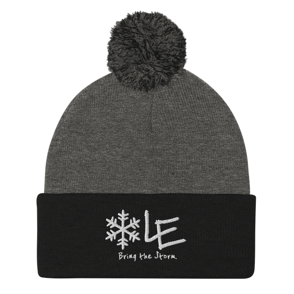 Lake Effect Pom-Pom Beanie